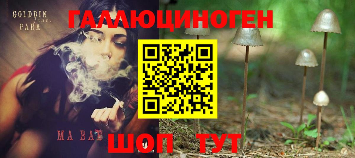 Псилоцибиновые грибы мицелий Тимашёвск