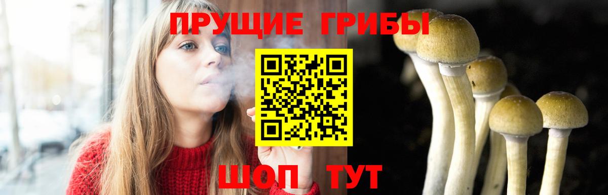 Псилоцибиновые грибы Magic Shrooms  Галлюциногенные грибы мицелий  Тимашёвск  Вход с VPN 